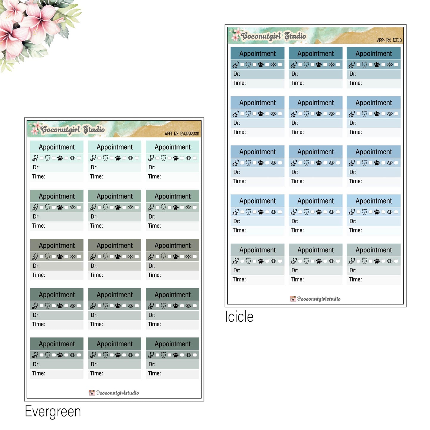 Appointment Choice Boxes Vision Dental Vet Health Medical