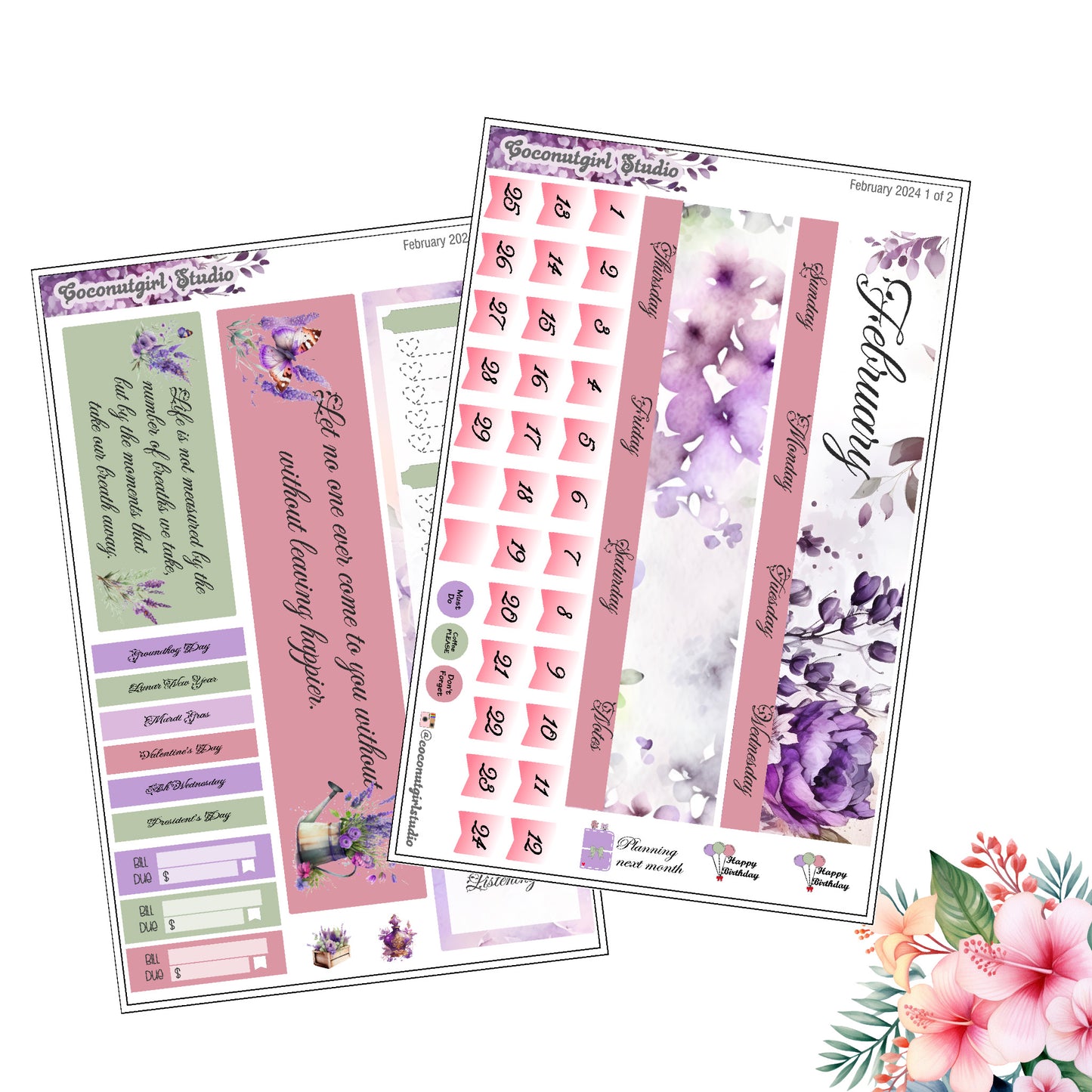 February 2024 Monthly Overview Kit planner stickers