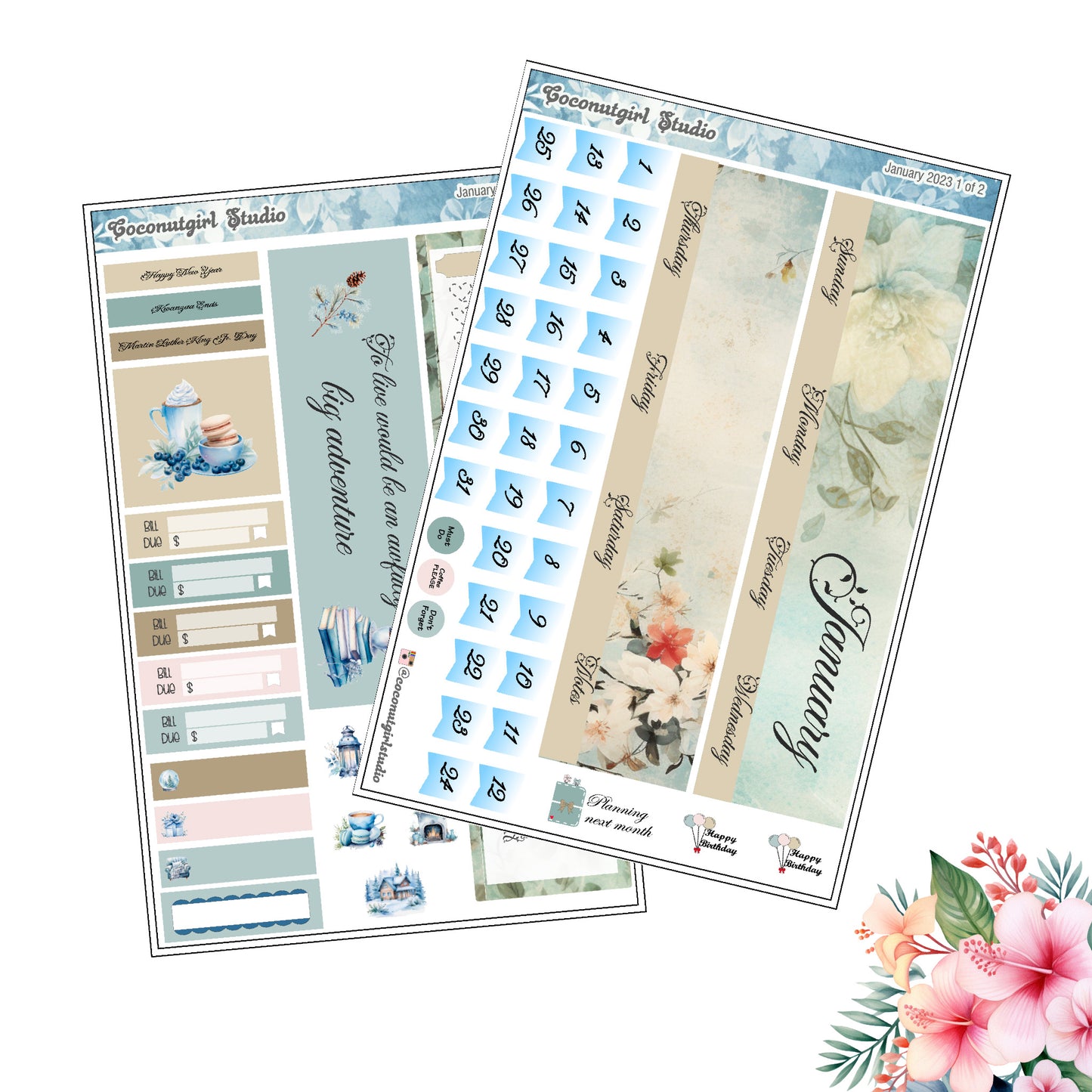 January 2024 Monthly Overview Kit planner stickers