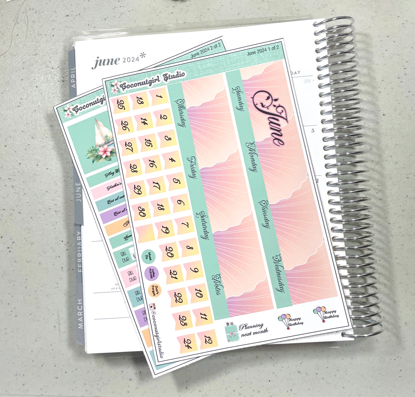 June Monthly Overview Kit planner stickers